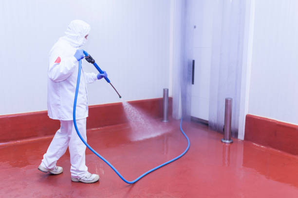 Best Boat and Dock Cleaning  in Glencoe, FL